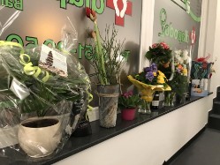 Eröffnung von diapodo 2